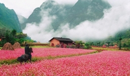 Chỗ ngủ miễn phí cho cung phượt Hà Giang 