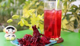 Hoa atiso đỏ (hibiscus) và lợi ích tuyệt vời