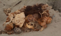 Phát hiện xác ướp phụ nữ 2.000 năm tuổi đựng trong giỏ cây