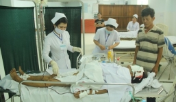 Lợn rừng nặng 60kg tấn công khiến 5 người bị thương