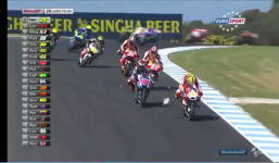 Tai nạn hy hữu: Chim mòng biển tử nạn trên đường đua motor GP