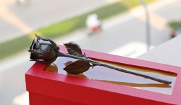 Hoa hồng đen 4 triệu/bông khuấy động thị trường lễ 20/10 