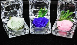 Quà tặng 20/10 độc đáo ý nghĩa dành cho người phụ nữ thân yêu