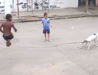 Video: Thú vị với chú chó thông minh quất dây cho trẻ em nhảy