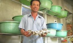 Từ nông dân nghèo thành triệu phú nhờ dế