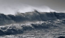 Bão Koppu giật cấp 10 ảnh hưởng tới Biển Đông