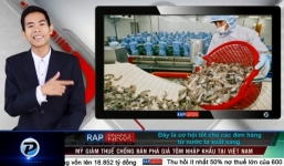 Cập nhật thông tin kinh tế, tài chính mới nhất trong Rap Finance tháng 9 