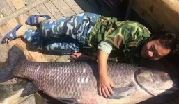 Bắt được cá trắm đen hoàng đế 'khổng lồ' nặng 90kg