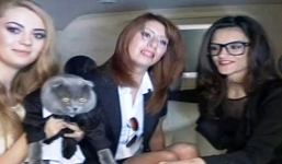 Mèo làm giám đốc, nhận lương hơn 3 triệu/tháng