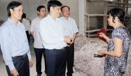 Nguyên nhân chính gây mù mắt ở đất trồng hành Vĩnh Châu