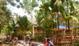 Phát hiện thi thể nam thanh niên bên vệ đường