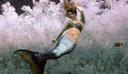 Tận mắt xem người hóa tiên cá tại Singapore