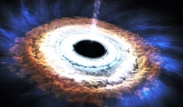 Cận cảnh một ngôi sao bị hố đen tàn phá, nuốt chửng