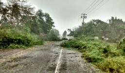 Video: Bão mạnh kỷ lục Partricia tàn phá Mexico