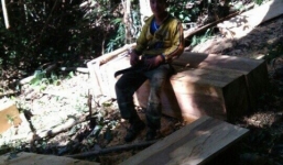 Phá rừng khoe trên Zalo: UBND tỉnh Gia Lai chỉ đạo điều tra