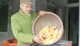 Lão  nông 90 tuổi tự mày mò chế tạo máy tách hạt ngô