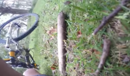 Cơn động kinh đột ngột đáng sợ như thế nào?