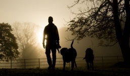 Đại gia Trung Quốc tuyển cử nhân dắt chó