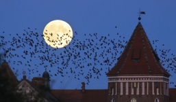 Siêu trăng cuối cùng của năm diễn ra đêm nay