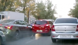 Ôtô đâm nhau hàng loạt vì cố tránh chim bồ câu