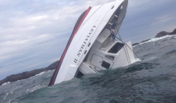 Chìm tàu tour ngắm cá voi, 5 du khách thiệt mạng 