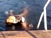 Video: Cận cảnh chú chó lao xuống nước cứu bé gái sắp chết đuối