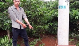 Hai cô gái bị “yêu râu xanh” lôi vào vườn cà phê hại đời giữa đêm