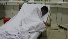 Ngộ độc cá nóc, 8 người phải nhập viện