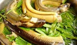 Bài thuốc 'thần dược' phòng the cho quý ông từ cá chạch (nhét)