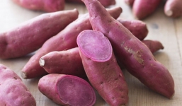 Siêu thực phẩm vào thời gian chuyển mùa tốt cho sức khỏe