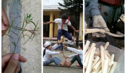 Những hình ảnh gợi nhớ tuổi thơ 8x, 9x