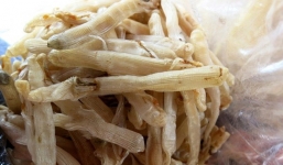 4 triệu/kg sá sùng đắt hơn vàng ròng