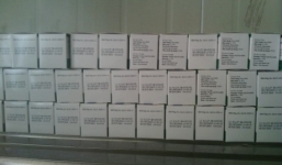 Sự trùng hợp giữa ca tử vong sau tiêm vắc xin ở Hải Dương và Nghệ An