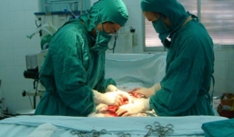 Bắt tạm giam người vợ cắt 'của quý' của chồng