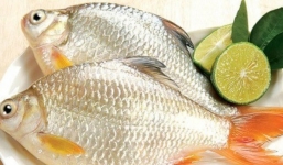 Bài thuốc giúp giúp quý ông thêm 'sung mãn' từ cá diếc