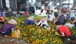 Chợ hoa quả đồng giá 8.000 đồng tại Hà Nội