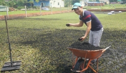 Kiếm 4 tỷ đồng mỗi năm nhờ trồng... cỏ