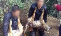 TQ: 'Cẩu tặc' bị người dân bắt treo chó lên cổ, quỳ suốt 10 tiếng