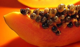 Hạt đu đủ và công dụng tuyệt vời với sức khỏe