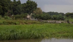 Máy bay Nga sản xuất rơi ở Nam Sudan, ít nhất 41 người thiệt mạng