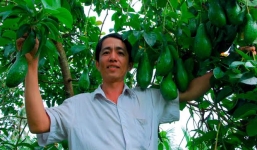 'Nhặt' hạt bơ sáp thành tỷ phú Đông Dương, thu tỷ đồng/năm