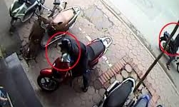 Bẻ khóa, trộm xe SH ngay cổng trường học