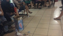 Hà Nội: hơn 50 học sinh bị ong đốt phải nhập viện