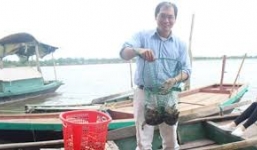 Thạc sỹ bỏ việc ở châu Âu, về quê nuôi tôm thu tiền tỷ