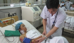 Bé gái nguy kịch do bị 115 nốt ong vò vẽ đốt