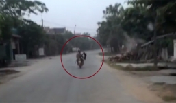 Video cận cảnh cẩu tặc thắt cổ chó kéo lê trên đường gây phẫn nộ