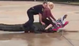 Cô gái dùng tay không quy phục cá sấu khổng lồ trong bãi đỗ xe