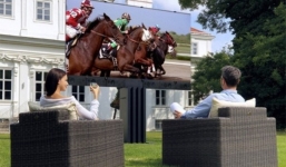 Những “món đồ” chỉ đại gia mới dám vung tiền sở hữu 