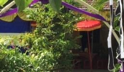 Nữ sinh lớp 8 uống thuốc sâu tự tử