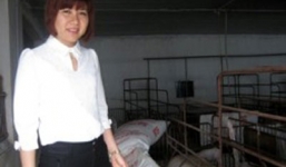 Khởi tố nữ đại gia 8X nổi danh Thái Bình, từng thu 60 tỷ/năm